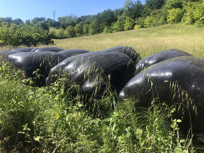 Baserri inguruetako plastikoa biltzeko egutegia zehaztu dute