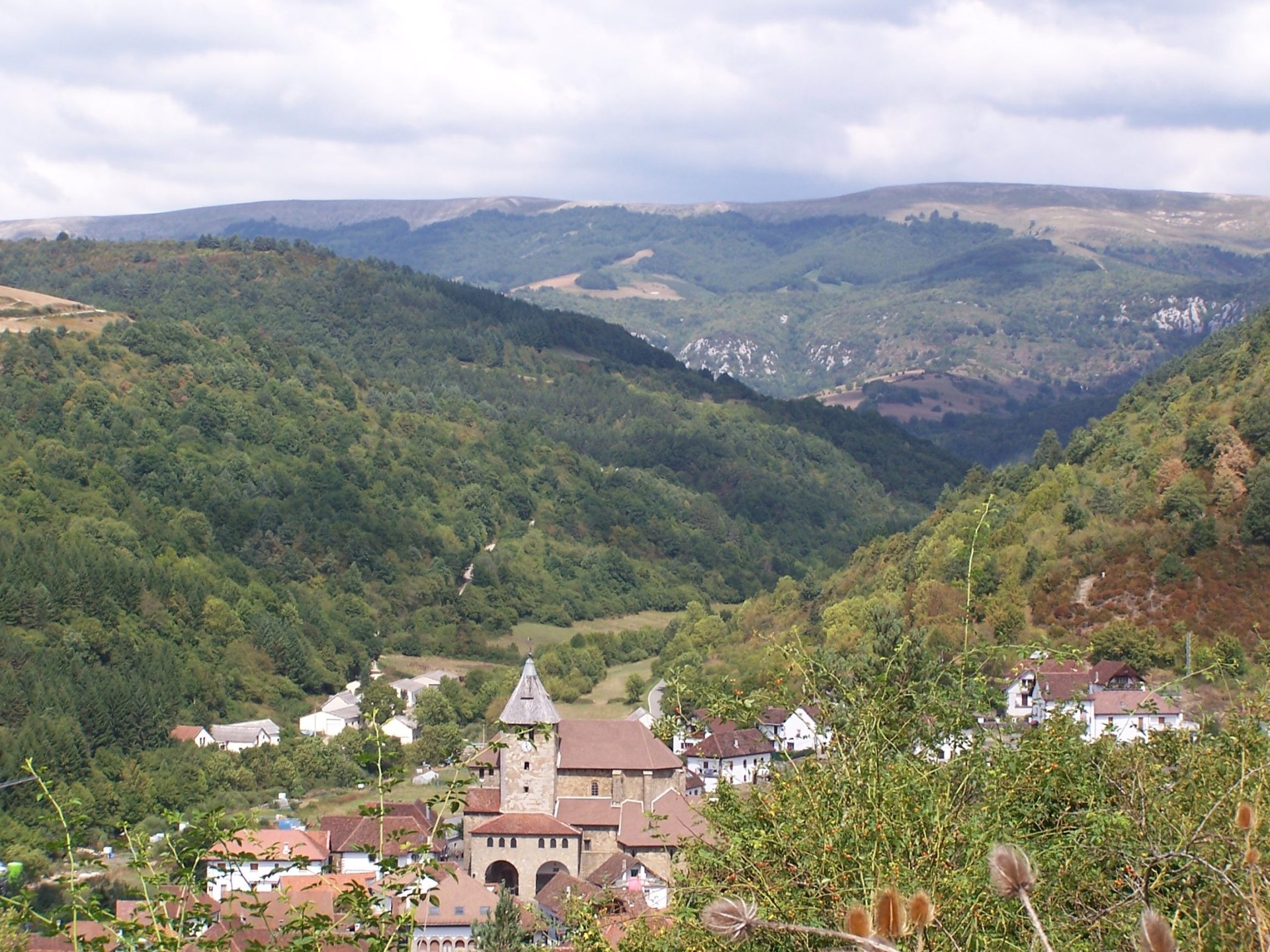 Zaraitzu