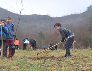 Zuhaitz Eguna iruditan