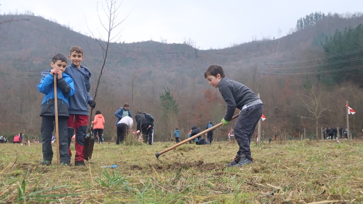 Zuhaitz Eguna iruditan