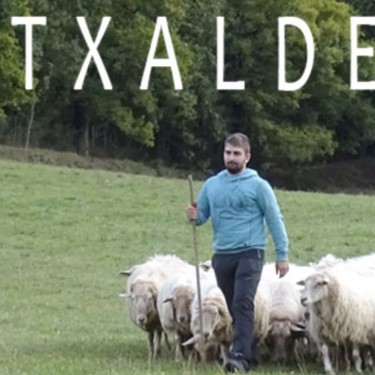 Atxalde baserrira irteera
