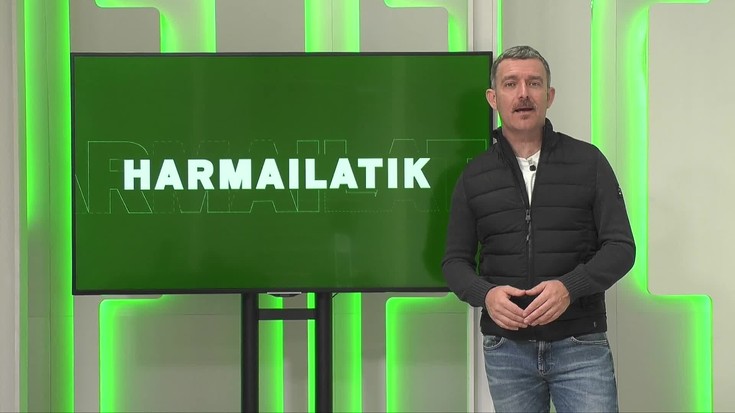 Harmailatik (2025-11-24)