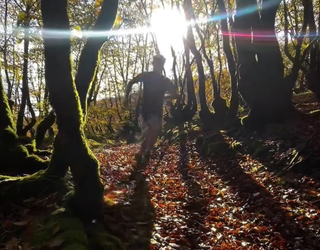 Gatza Trailerako antolakuntza lanak abian, eta garbiketak hasita