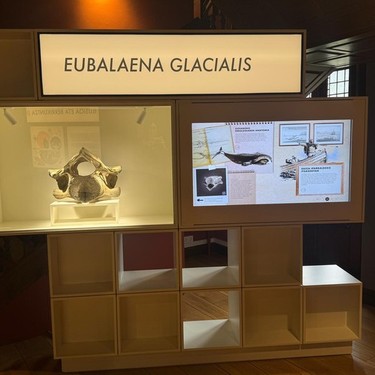 Balearen modulua ezagutzeko jarduera