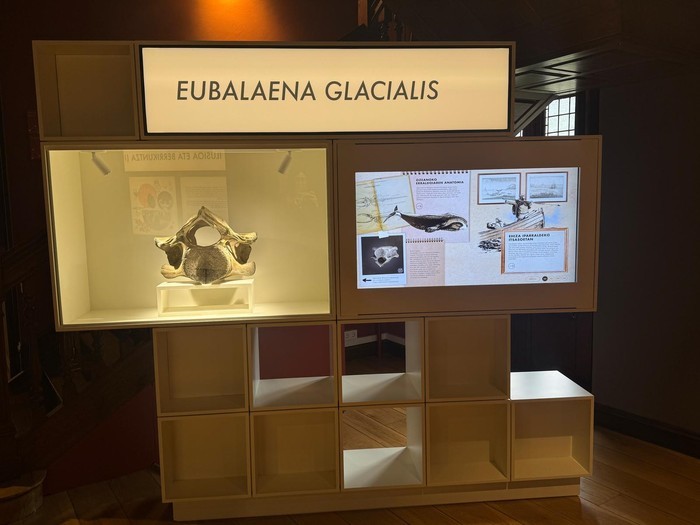 Balearen modulua ezagutzeko jarduera