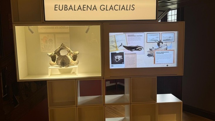 Balearen modulua: bisita gidatua