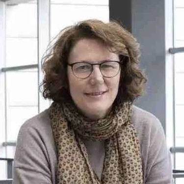 'Itzalaldia sare elektrikoak: Zer gertatu zen? Zer aldatu behar da?' hitzaldia