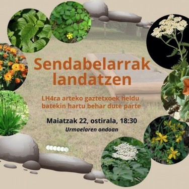 Sendabelarren landaketa