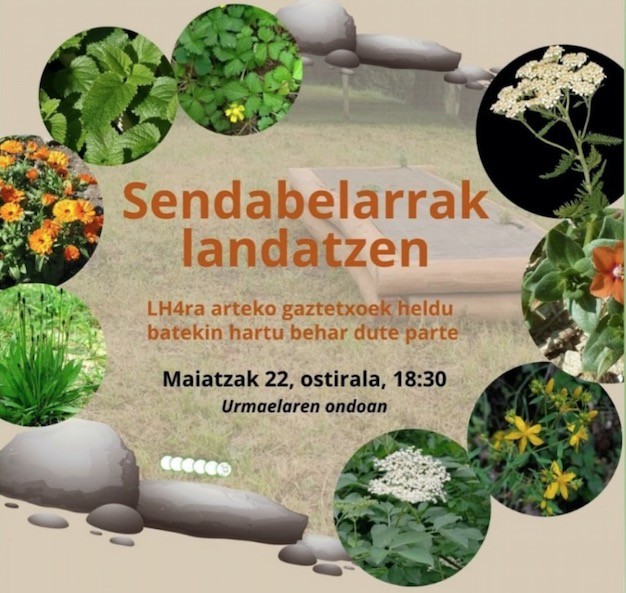 Sendabelarren landaketa