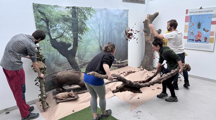 Onddoen interpretazio zentro bilakatuko da Oñatiko kultura etxeko erakusketa gela hiru astez