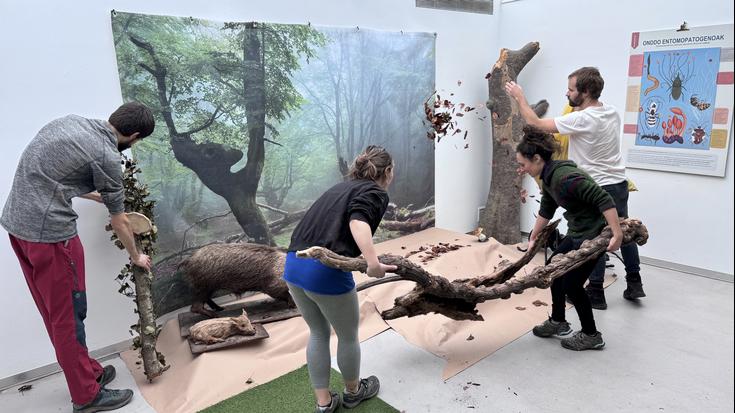 Onddoen interpretazio zentro bilakatuko da Oñatiko kultura etxeko erakusketa gela hiru astez