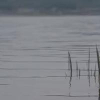 'Las voces del agua' dokumentala