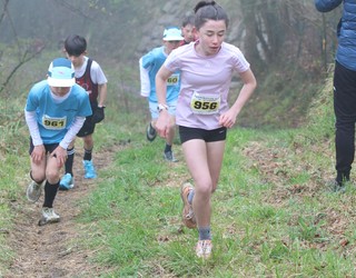 Antxumeak ere lokatzetan murgildu dira