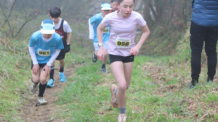 Antxumeak ere lokatzetan murgildu dira