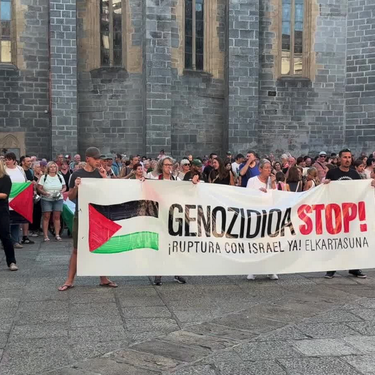 Palestinaren aldeko mobilizazioak