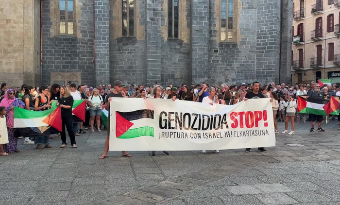 Palestinaren aldeko mobilizazioak