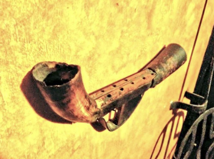 Ugaztegiko alboka