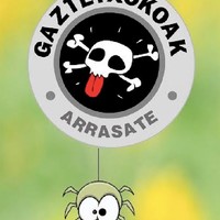 Gaztetxokoetako eskaintza