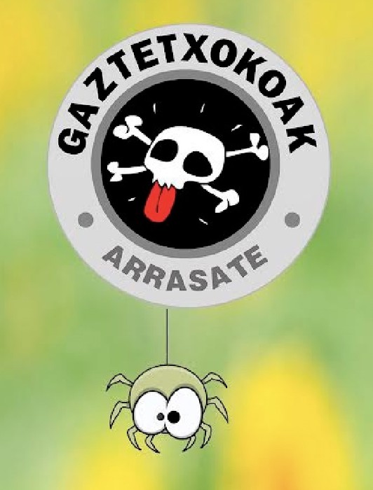 Gaztetxokoetako eskaintza