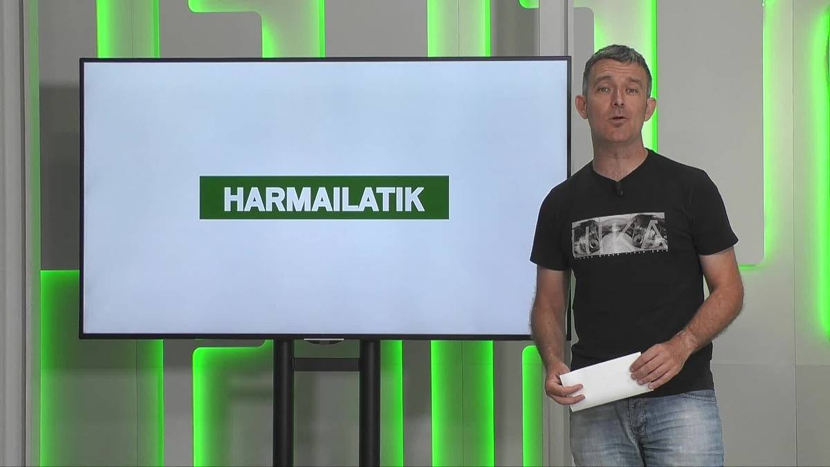 'Harmailatik': Eskoriatzako rallysprinta, Dorletako Ama saria, Aloña Mendi eskubaloi sailekoen lagunartekoak