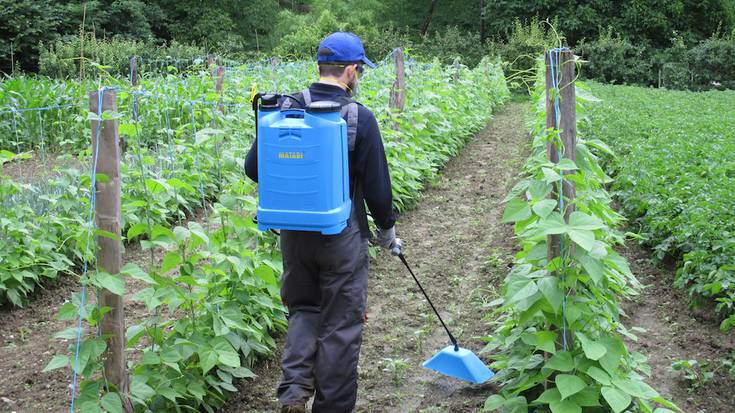 Astelehenean hasiko da produktu fitosanitarioak erabiltzeko ikastaroa