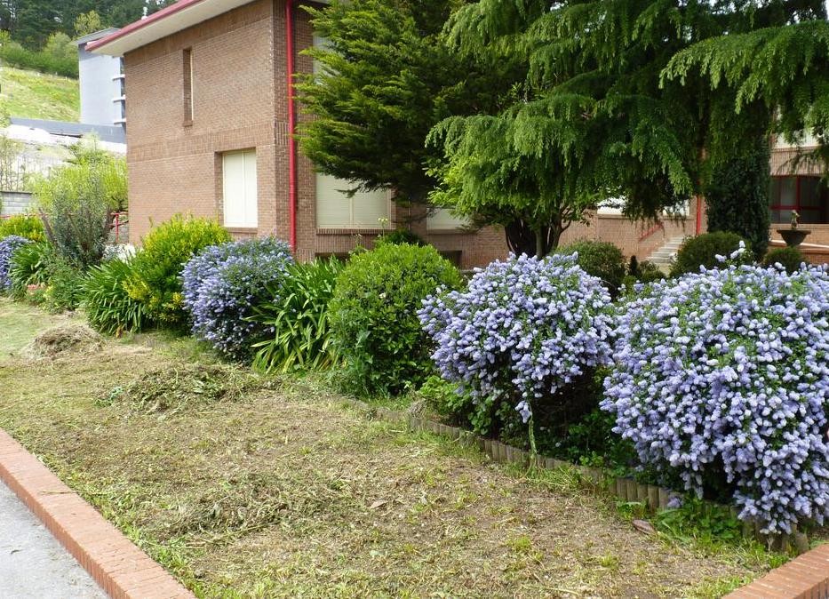 Zaintza kamerak jarriko dituzte herriko hiru gunetan "segurtasuna bermatzeko"