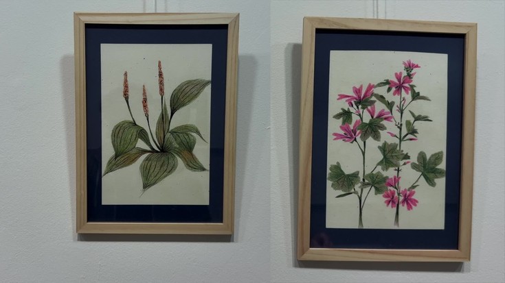 'Sendabelarrei begira' erakusketa dago Arkupen hilabete bukaera arte