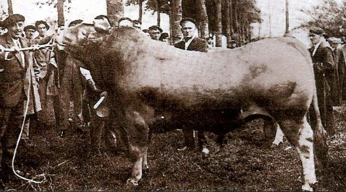 Abere-lehiaketa eta zinematografoa Aramaion (1911)