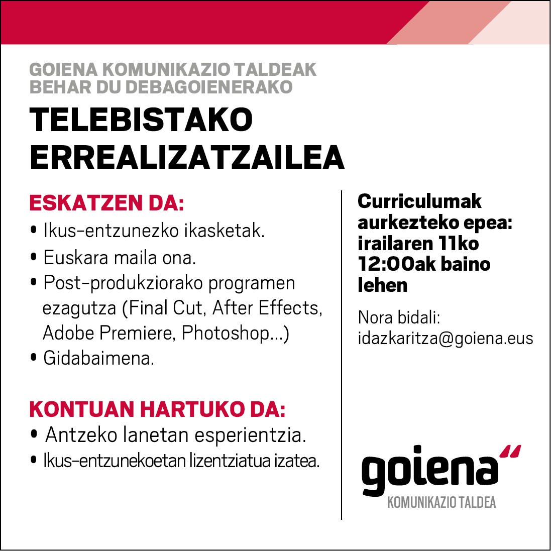 Lan eskaintza: Telebistako errealizatzailea