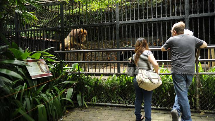 Ze iritzi daukazu zoologikoen gainean?