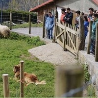 'Izan zaitez artzain egun batez' bisita gidatua