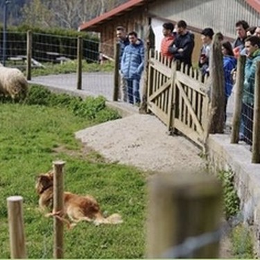 'Gaztagintzaren sekretuak Arantzazun' bisita gidatua