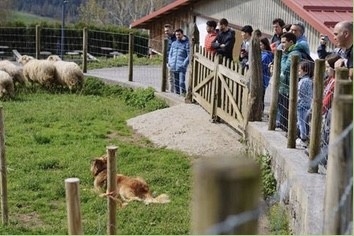 'Izan zaitez artzain egun batez' bisita gidatua