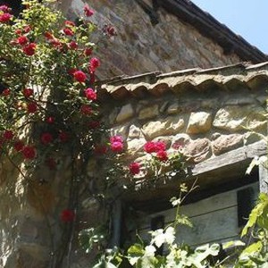 Teknika eta estalki naturalak