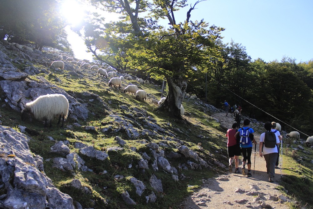 Iturrigorri basotik Urbiara eta buelta, domekan