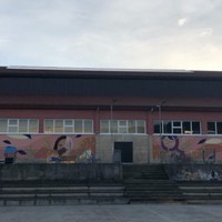Kiroldegiko aurre-proiektuaren aurkezpena