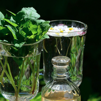 Sendabelarren ikastaroa