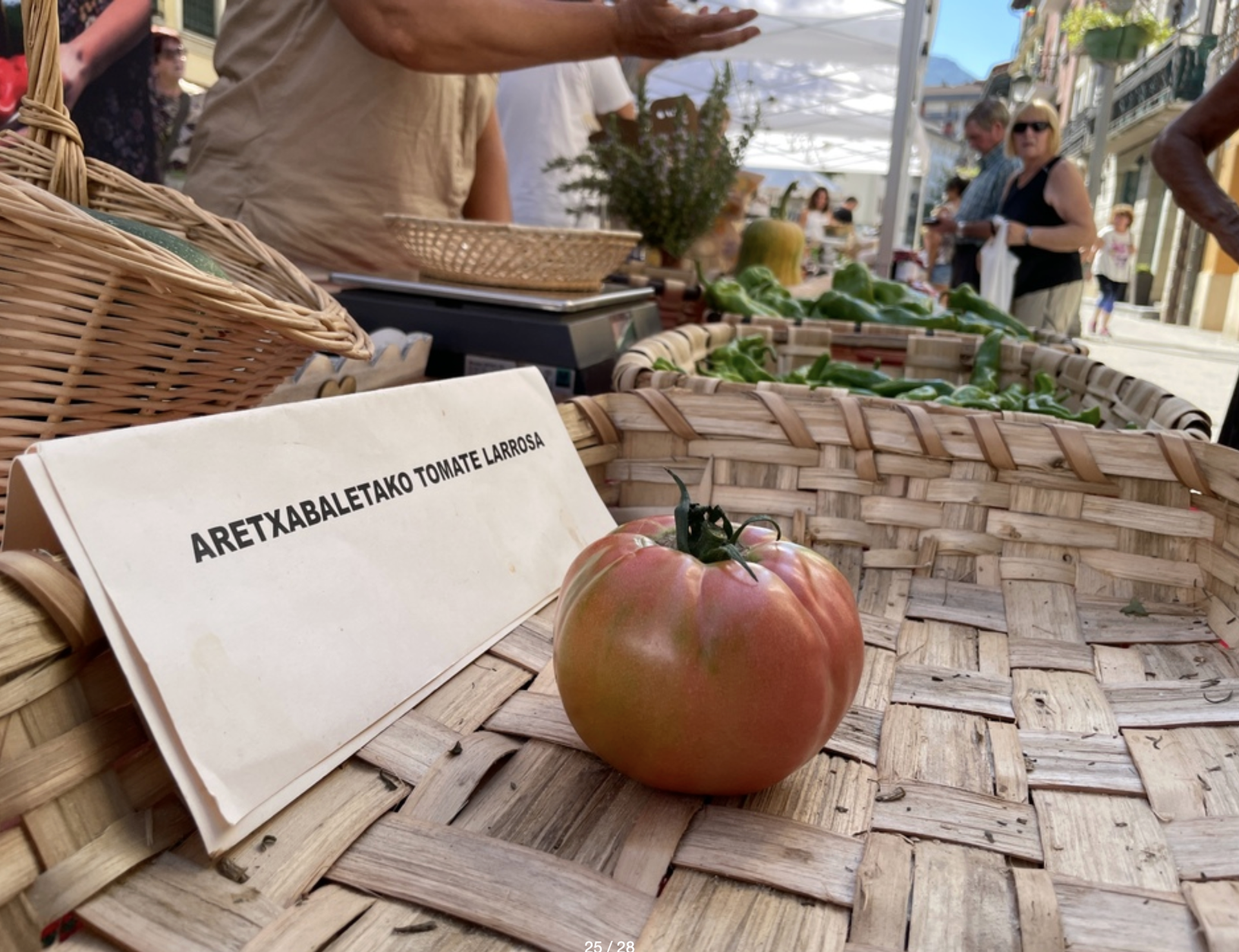 Tomatearen Eguna domekan, Aretxabaletakoa ardatz