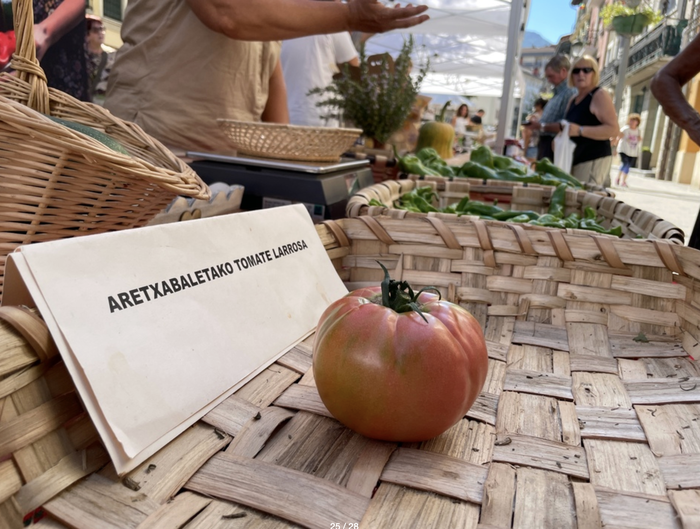 Tomatearen Eguna domekan, Aretxabaletakoa ardatz