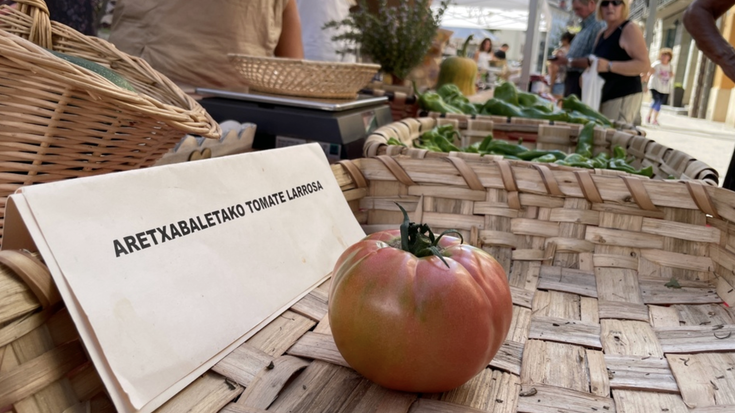 Tomatearen Eguna domekan, Aretxabaletakoa ardatz