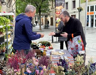 Loreak eta ortuko landareak, maiatzeko bertako produktuen azokan