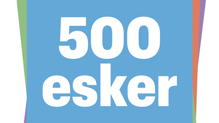 Puntua 500
