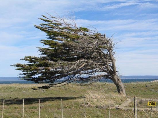 Haize bolada zakarrak iragarri dituzte gaurko eta abisu horia ezarri