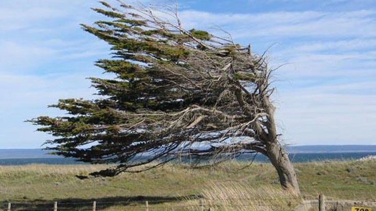 Haize bolada zakarrak iragarri dituzte gaurko eta abisu horia ezarri