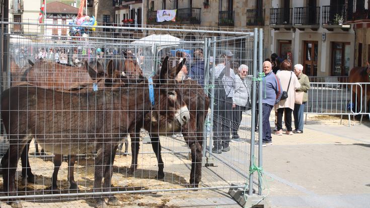 San Isidro egunean salmenta-postua jartzeko epea ireki dute