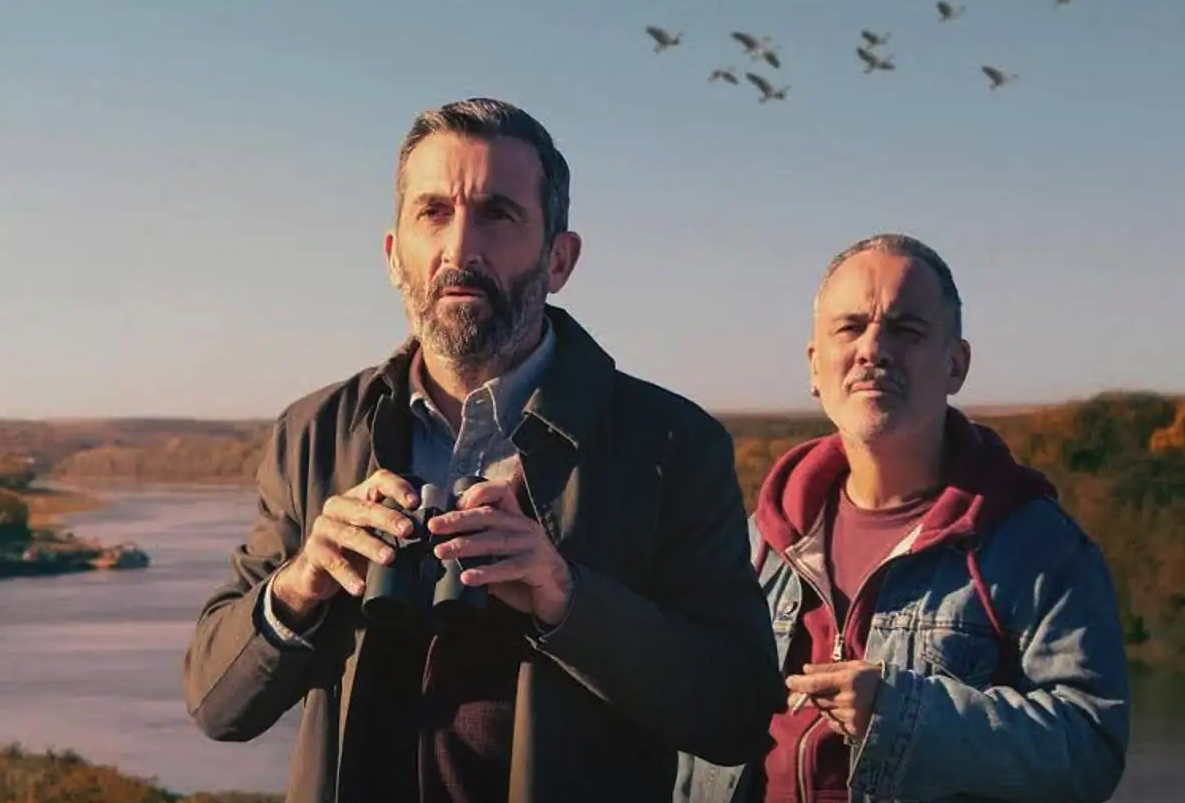 'Pájaros' pelikula: bidaia gorabeheratsua