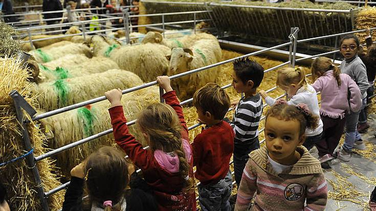 Aiherra-Antzuola senidetze eguna ospatzeko Lurramako azokara irteera