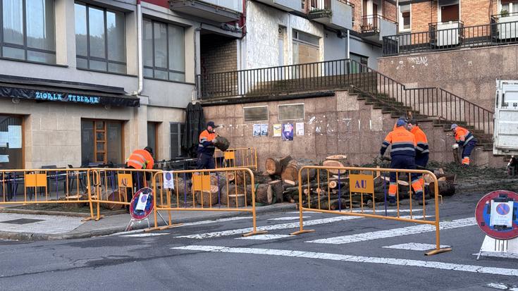 Ondoko etxebizitzari kalte egin zion zuhaitza kentzea lortu dute, Musakolan