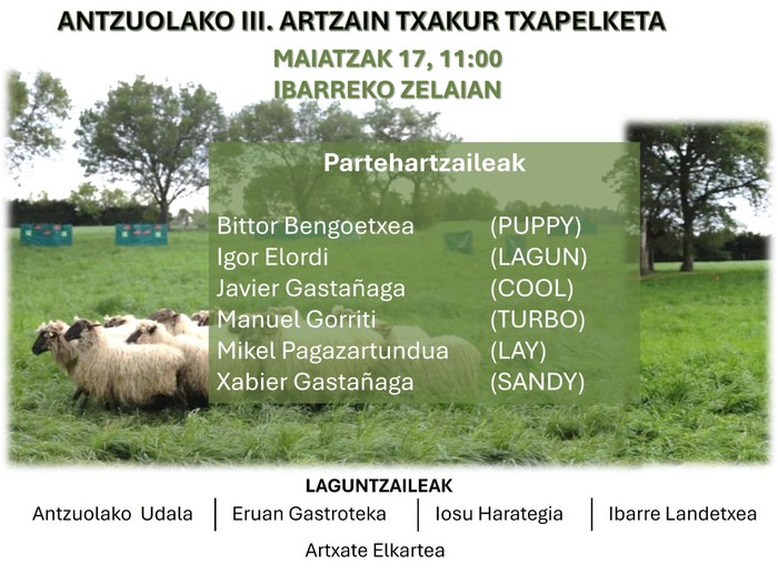 Ardi-txakur txapelketa