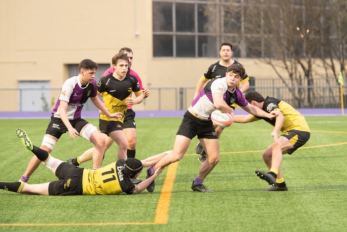 Porrot mingarria Kanpanzar Arrasaterentzat